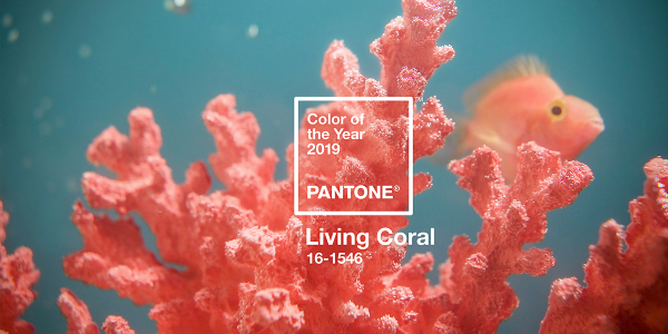 Pantone 2019最新代表色登場！「珊瑚橙Living Coral」引領來年流行趨勢！